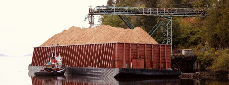 Paper Excellence: first barge has been successfully loaded with chips