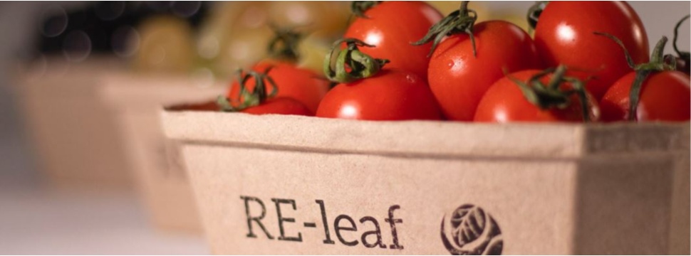 RE-leaf Paper tomato packaging