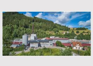Baiersbronn Frischfaser Karton GmbH
