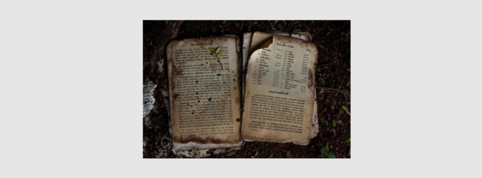 Altes Buch wurde von Papierfischchen befallen