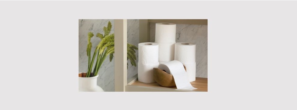 Metsä Tissue investigated the carbon footprint of toilet paper: high-quality and soft tissue paper is also environmentally friendly