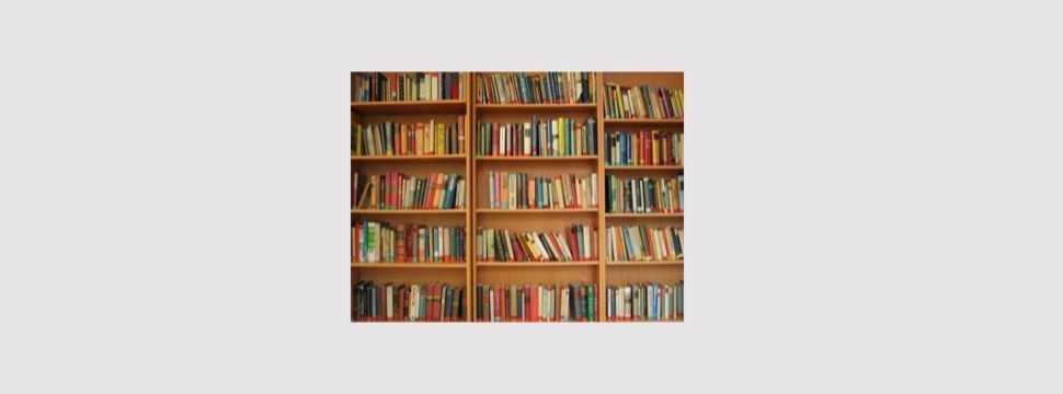 In diesem Regal stehen garantiert mehr als 50 Bücher.