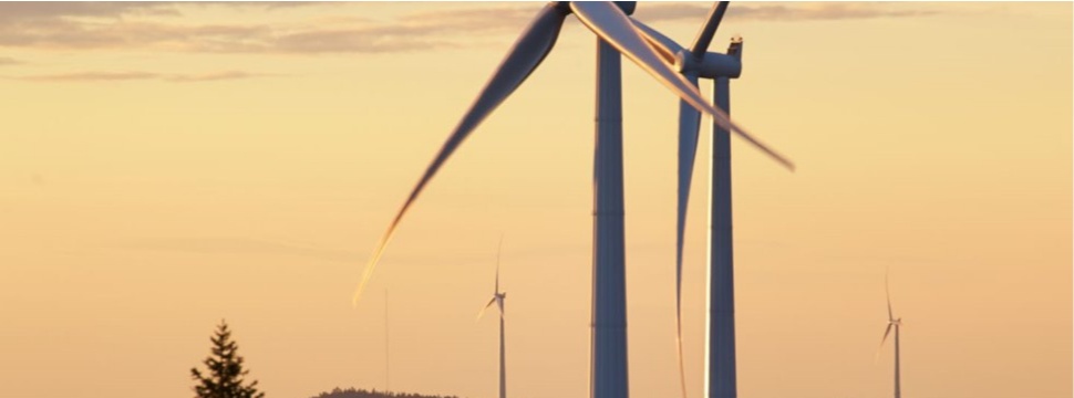 SCA is one of Europe’s leading renewable energy producers.