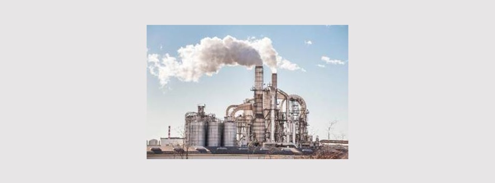 The paper and pulp industry requires large amounts of thermal energy