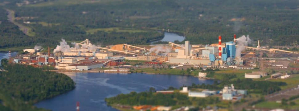 Thunder Bay Pulp and Paper