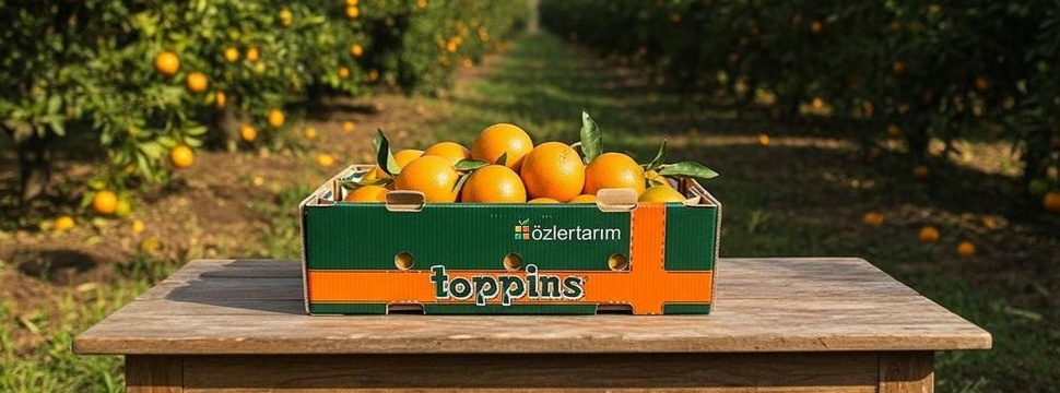 Mondi's transport packaging for fruit and vegetables Mondi's transport packaging for fruit and vegetables