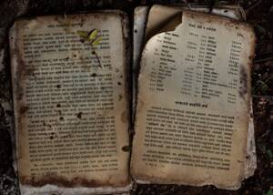 Old book in destruction by paper silverfish