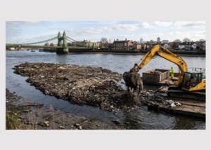 Wet Wipe Island is cleared.