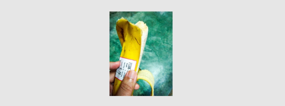Banana skins and labels can both be disposed of as compost.