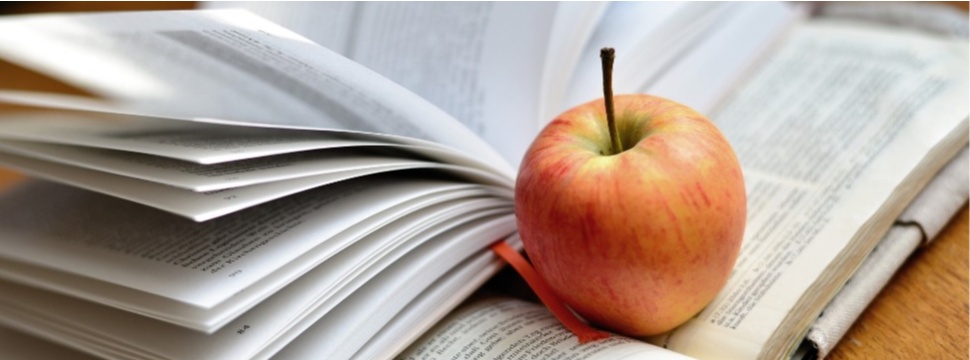 Apfelpapier - Aus den Überresten des Apfels kann mal ein Buch werden.