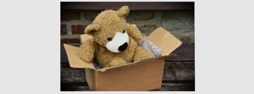 Teddy im Karton