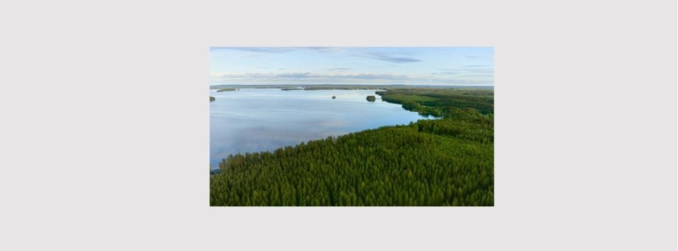 Metsä Board wird mit einem herausragenden dreifachen CDP 'A' für seine Führungsrolle in den Bereichen Klimawandel, Wassersicherheit und Wälder ausgezeichnet