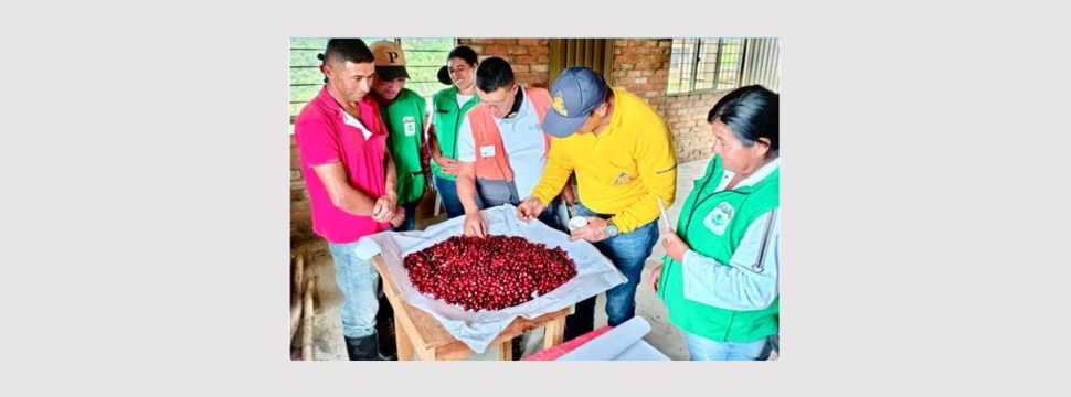 Smurfit Westrock wins the 2025 Portafolio Award for Corporate Social Responsibility