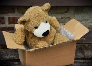 Teddy bear in a box