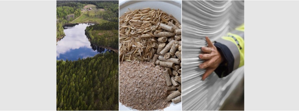 Södra begins journey towards premium strength, sustainable agro-enhanced softwood pulp
